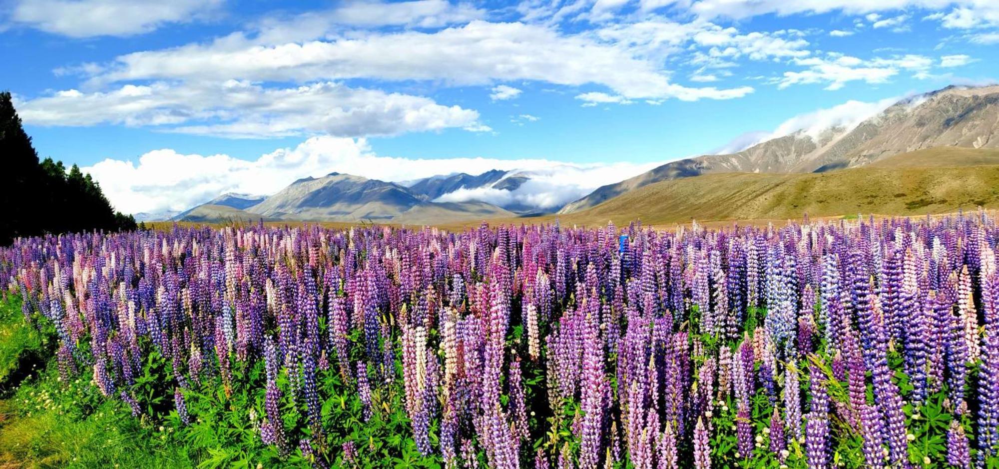 37 Galaxy C Studio Lake Tekapo Exteriér fotografie